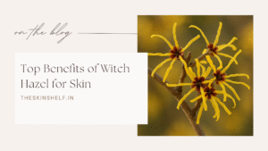 Close-up of witch hazel plant with bright yellow ribbon-like flowers used in natural skincare remedies